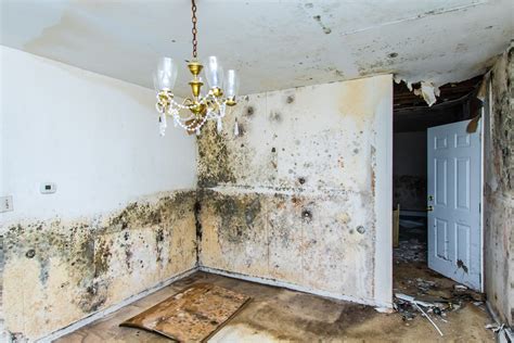 Flood & Water Damage Restoration in Duncanville, TX .